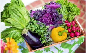 consume lots of veggies